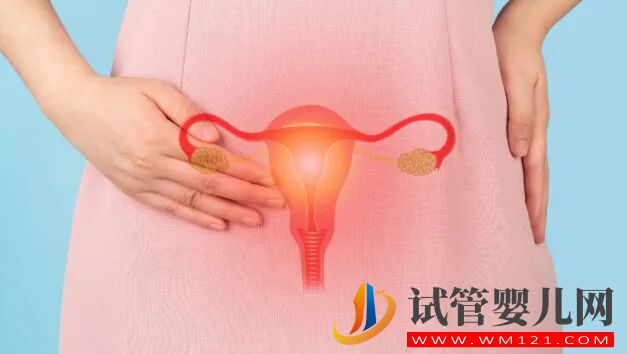 什么是敵對子宮？了解它如何導致不孕(圖2)