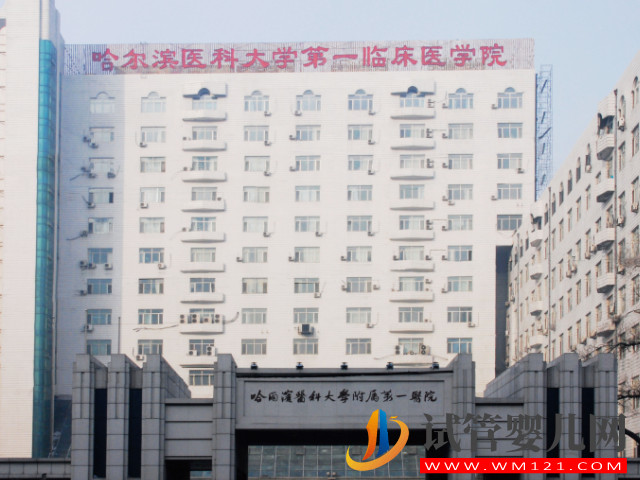 哈爾濱做人工授精成功率最高醫院盤點，哈醫大一、二院皆上榜(圖1)