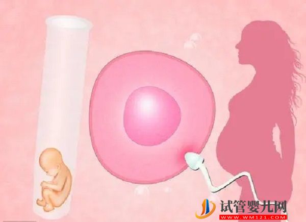 海南省中醫院試管嬰兒費用價目表(圖2)