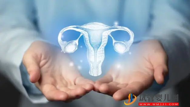 處女膜是童貞的最終證明嗎？讓我們找出來(圖3)