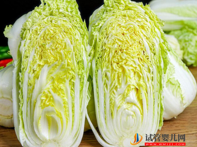 十大最強(qiáng)堿性食物排名一覽表參考 大白菜排名第一(圖2) 十大最強(qiáng)堿性食物排名一覽表參考 大白菜排名第一(圖2)