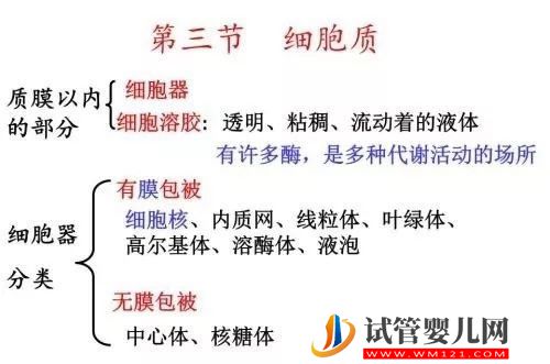 “一父二母”的第四代試管嬰兒——心動與挑戰并存(圖3)