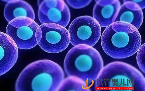 “一父二母”的第四代試管嬰兒——心動與挑戰并存(圖5)