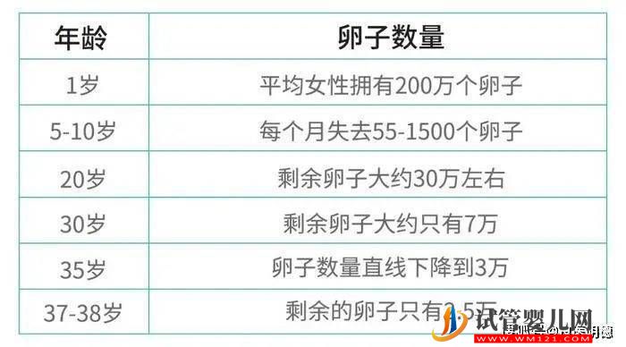 干細胞解決生育力問題，實現“孕育”之夢(圖1)