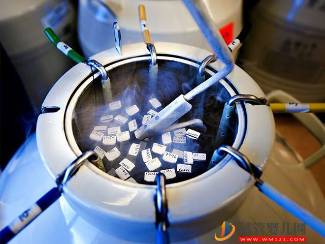 鄭州正規供卵試管機構，9家三代助孕機構不排隊(圖1)