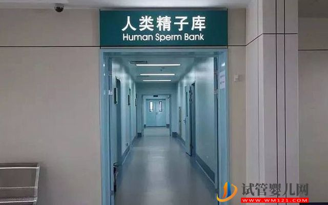 2023湖南精子庫大全，醫院買精子供精人工受孕費用參考(圖2)