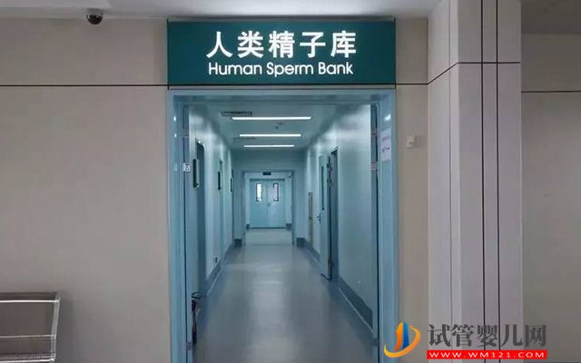 2023河南精子庫大全，醫院買精子供精人工受孕費用參考(圖4)
