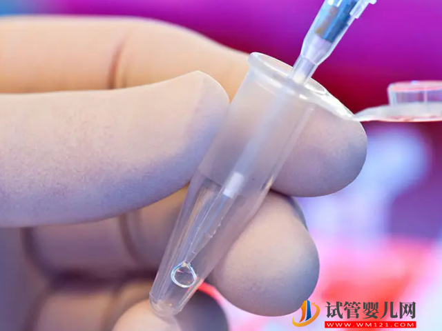 單身女性澳門凍卵全攻略，詳細價格、流程一文講清(圖2)