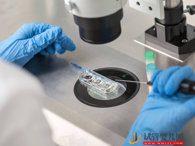 地中海貧血做試管流程及費(fèi)用，避免遺傳必須選三代(圖3)