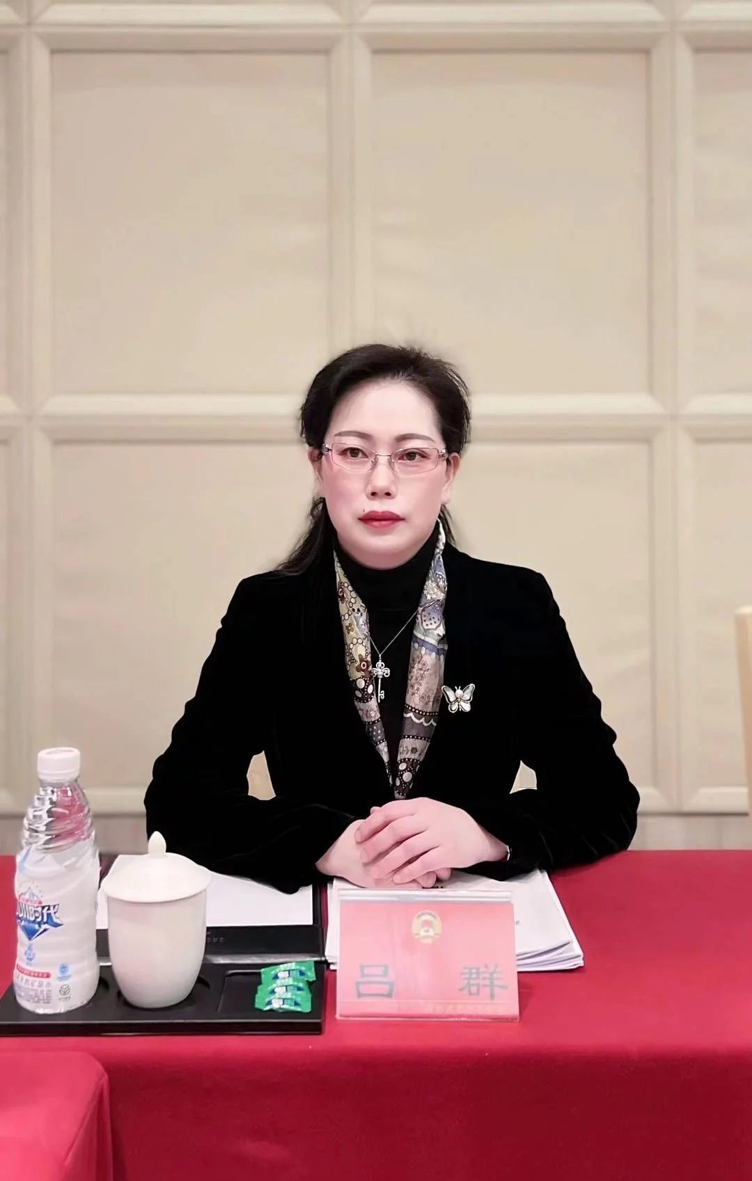 成都市政協委員呂群：激勵生育力 推進輔助生殖技術相關費用納入醫保(圖1)