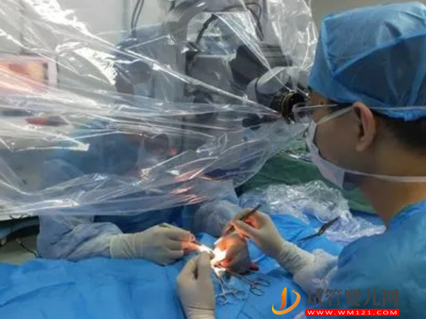 睪丸穿刺能否降低dna碎片率篩選精子質量(圖2)