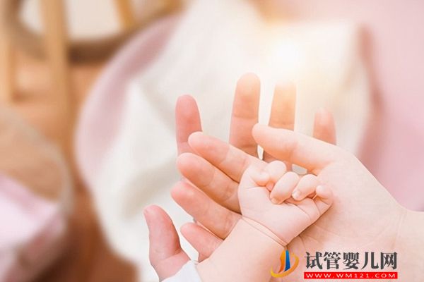 國家鼓勵(lì)生三胎補(bǔ)助措施,怎么申請按步驟操作即可(圖1) 國家鼓勵(lì)生三胎補(bǔ)助措施,怎么申請按步驟操作即可(圖1)