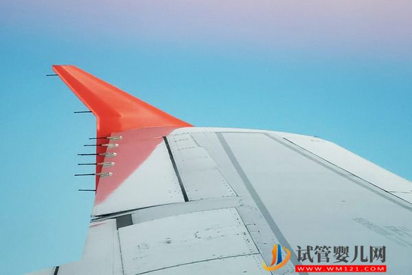 中國人去美國生孩子一共要多少錢，赴美生子拿美籍費用一覽(圖1)