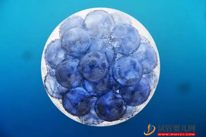 生育率奇低的新加坡,到底該不該允許凍卵子(圖1) 生育率奇低的新加坡,到底該不該允許凍卵子(圖1)