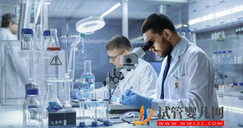 干細(xì)胞是什么？干細(xì)胞主要作用是什么？(圖1)