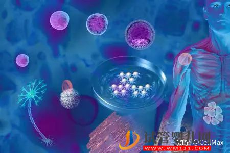 近期干細(xì)胞研究進(jìn)展匯總！(圖1)