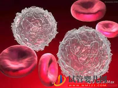 近期干細(xì)胞研究進(jìn)展匯總！(圖2)