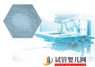 干細胞研究與應用——為人類生命健康提供保障（開卷知新）(圖2)