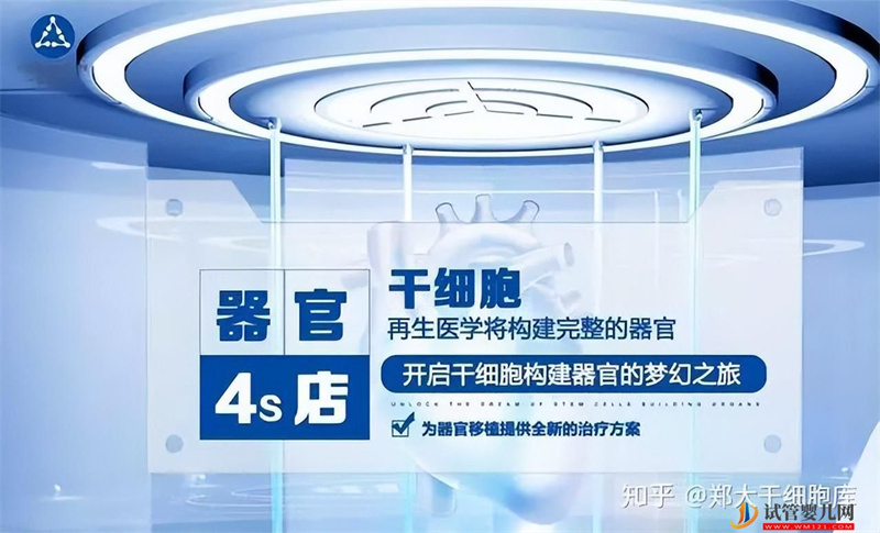 什么是干細(xì)胞，干細(xì)胞有哪些“奇特”功效(圖2)