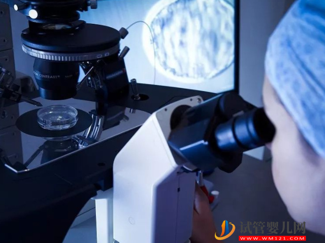 貴陽三代試管包成功醫院排名，附最新成功率及費用明細(圖2)