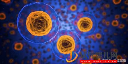 醫學科普醫學界熱議的干細胞到底是什么東西？(圖2)