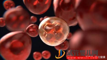 醫學科普醫學界熱議的干細胞到底是什么東西？(圖4)