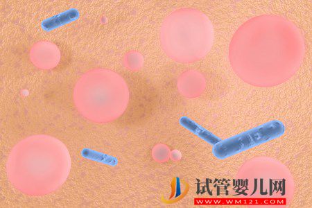 我們所說的干細胞，到底是什么？(圖1)