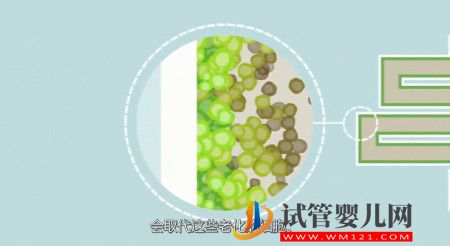 我們所說的干細胞，到底是什么？(圖2)