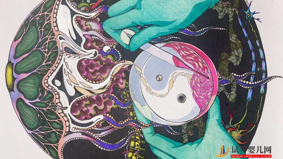 干細胞：“我們是誰？”(圖1)