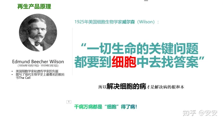 干細胞是什么？(圖2)