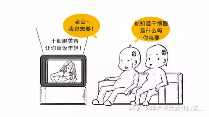 什么是干細胞？一文讓你讀懂！(圖1)