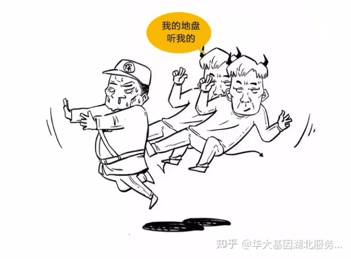 什么是干細胞？一文讓你讀懂！(圖11)