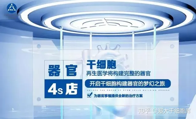 干細胞簡介——什么是干細胞？(圖3)