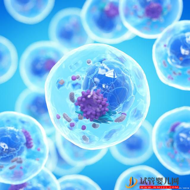 干細胞成功移植1例慢性腎病患者的逼尿肌活動減退(圖3)