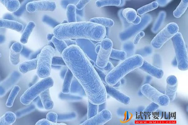 盤點(diǎn)國家規(guī)定的嬰幼兒7種益生，哪個(gè)牌子最好快來瞧！(圖2)