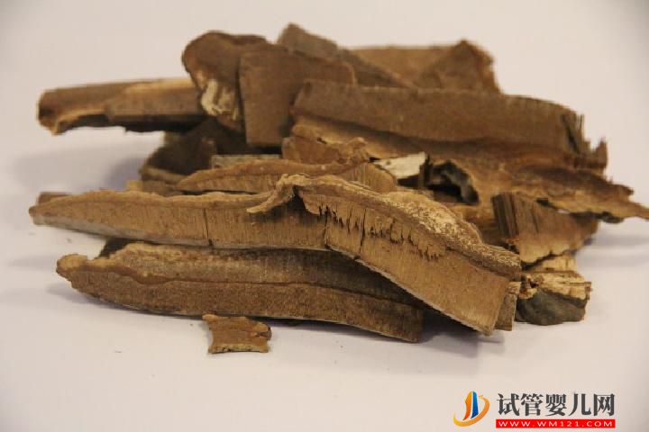 什么泡水喝補腎壯陽效果好 補腎壯陽可以嘗試這些東西(圖2)