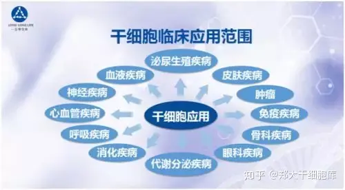 干細胞簡介——什么是干細胞？(圖5)