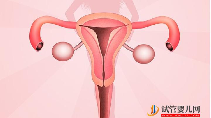 女性月經(jīng)量少飲食上有哪些注意事項 月經(jīng)量少的女性注意6個事項(圖2)