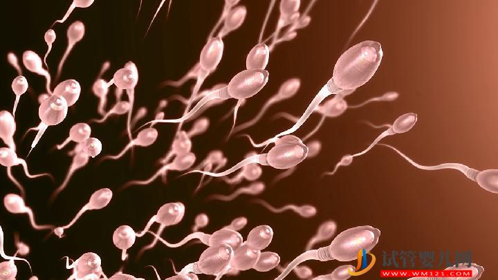 男人患不育的原因有哪些 吃核桃可以預防男性不育嗎(圖6) 男人患不育的原因有哪些 吃核桃可以預防男性不育嗎(圖6)