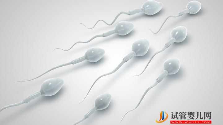 男性不育吃什么調理好？男性不育要多補充4大食物(圖1)