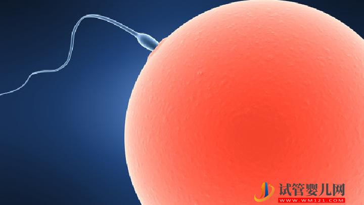 男性不育為什么總是治不好？男性不育久治不愈原因有4(圖1)