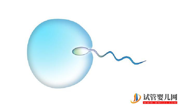 哪些不良飲食會影響生育？飲食不當會誘發男性不育嗎？(圖1)