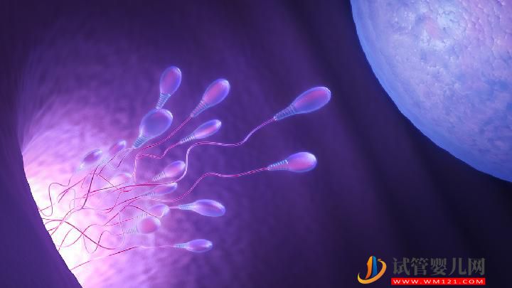 治療男性不育的三大方法 誘發男性不育的原因有哪些？(圖3)