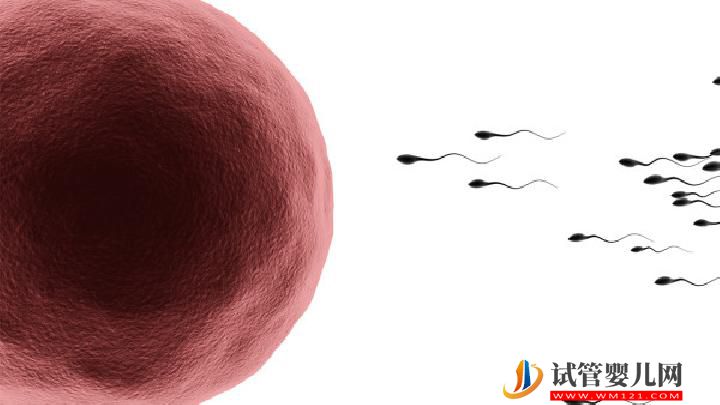男性不育治療期間要注意什么？男性不育應(yīng)牢記這7大注意事項(xiàng)(圖3)