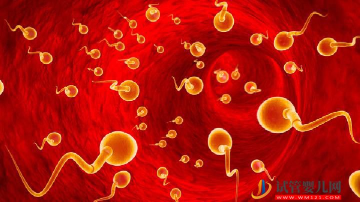 男性不育的原因可總結(jié) 警惕生活中有這6大精子殺手(圖2)