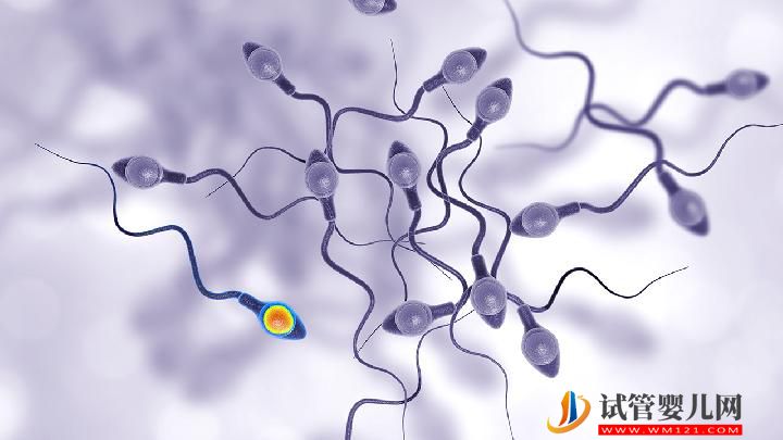男性不育的原因可總結(jié) 警惕生活中有這6大精子殺手(圖6)