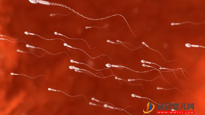 男性不育的原因可總結(jié) 警惕生活中有這6大精子殺手(圖7)
