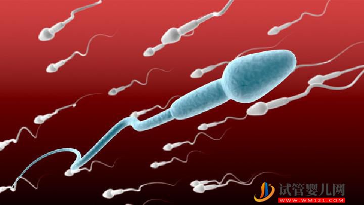 男性不育食療有哪些食療方法 不育男性應多吃這4類食物(圖2) 男性不育食療有哪些食療方法 不育男性應多吃這4類食物(圖2)