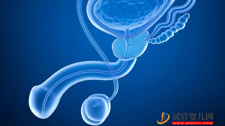 少精癥和無精癥是怎么回事？男性不育癥有什么表現(xiàn)？(圖1)