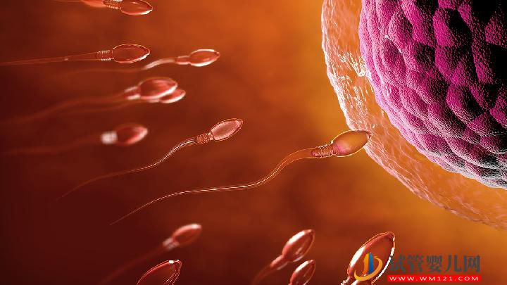 男性不育應吃哪些食物調理？男性不育的常見原因有哪些？(圖3)